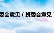 班委会意见（班委会意见）