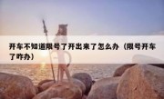 开车不知道限号了开出来了怎么办（限号开车了咋办） 