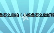 小鲨鱼怎么自拍（小鲨鱼怎么做好吃）