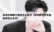 郑州车辆限行被拍怎么处罚（郑州限号开车被拍到怎么处罚） 