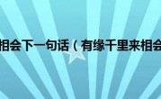 有缘千里来相会下一句话（有缘千里来相会下一句）