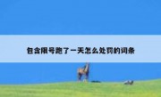 包含限号跑了一天怎么处罚的词条 