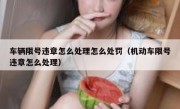 车辆限号违章怎么处理怎么处罚（机动车限号违章怎么处理） 