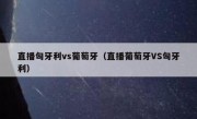 直播匈牙利vs葡萄牙（直播葡萄牙VS匈牙利） 