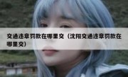 交通违章罚款在哪里交（沈阳交通违章罚款在哪里交）