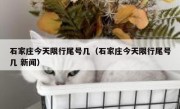 石家庄今天限行尾号几（石家庄今天限行尾号几 新闻） 