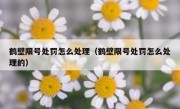 鹤壁限号处罚怎么处理（鹤壁限号处罚怎么处理的） 