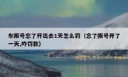 车限号忘了开出去1天怎么罚（忘了限号开了一天,咋罚款）
