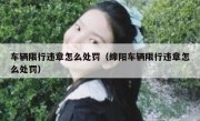 车辆限行违章怎么处罚（绵阳车辆限行违章怎么处罚） 