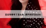 忘记车限号了怎么办（限号老忘怎么办） 