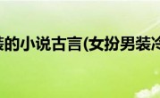 女扮男装的小说古言(女扮男装冷女孩)