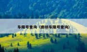 车限号查询（廊坊车限号查询） 