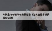 如何查询车辆停车缴费记录（怎么查停车缴费历史记录）