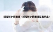 新足球小将国语（新足球小将国语百度网盘） 