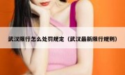 武汉限行怎么处罚规定（武汉最新限行规则） 