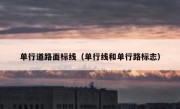 单行道路面标线（单行线和单行路标志） 