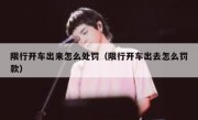 限行开车出来怎么处罚（限行开车出去怎么罚款） 