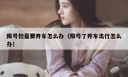 限号但是要开车怎么办（限号了开车出行怎么办）