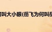 岳飞为何叫大小眼(岳飞为何叫岳武穆)