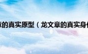 龙文章的真实原型（龙文章的真实身份）
