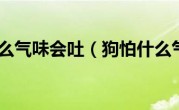 狗怕什么气味会吐（狗怕什么气味）