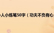 功夫不负有心人小练笔50字（功夫不负有心人小练笔）