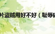 耻辱碎片盗贼用好不好（耻辱碎片）