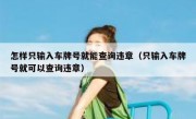 怎样只输入车牌号就能查询违章（只输入车牌号就可以查询违章） 