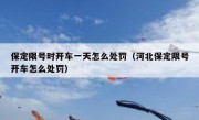 保定限号时开车一天怎么处罚（河北保定限号开车怎么处罚） 