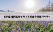 石家庄明天限行车号（石家庄今天限行车号） 