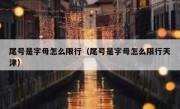 尾号是字母怎么限行（尾号是字母怎么限行天津） 