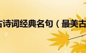 最美古诗词经典名句（最美古诗）