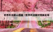 世界杯法国vs德国（世界杯法国对德国足球） 