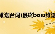 最终boss维迦台词(最终boss维迦多少钱)