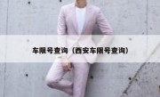 车限号查询（西安车限号查询） 