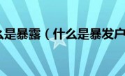 什么是暴露（什么是暴发户）