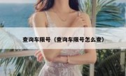 查询车限号（查询车限号怎么查） 