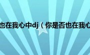 你是否也在我心中dj（你是否也在我心中）