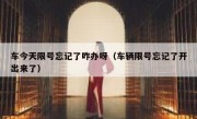 车今天限号忘记了咋办呀（车辆限号忘记了开出来了） 