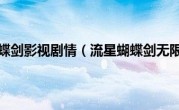 流星蝴蝶剑影视剧情（流星蝴蝶剑无限期）