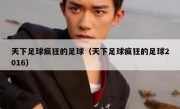 天下足球疯狂的足球（天下足球疯狂的足球2016） 