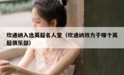 坎通纳入选英超名人堂（坎通纳效力于哪个英超俱乐部） 