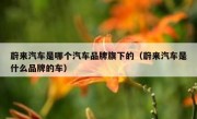 蔚来汽车是哪个汽车品牌旗下的（蔚来汽车是什么品牌的车）