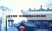 小客车调控（杭州增量指标小客车调控） 