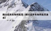 限行日开车如何处罚（限行日开车如何处罚涞水） - 高通咨询