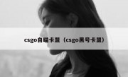 csgo自瞄卡盟（csgo黑号卡盟） 