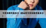 今天车限号是多少（唐山市今天车限号是多少） 