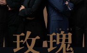《玫瑰之战》全集百度云【高清中字】免费下载 
