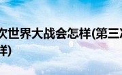 发生第三次世界大战会怎样(第三次世界大战中国会怎样)