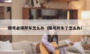 限号必须开车怎么办（限号开车了怎么办） 